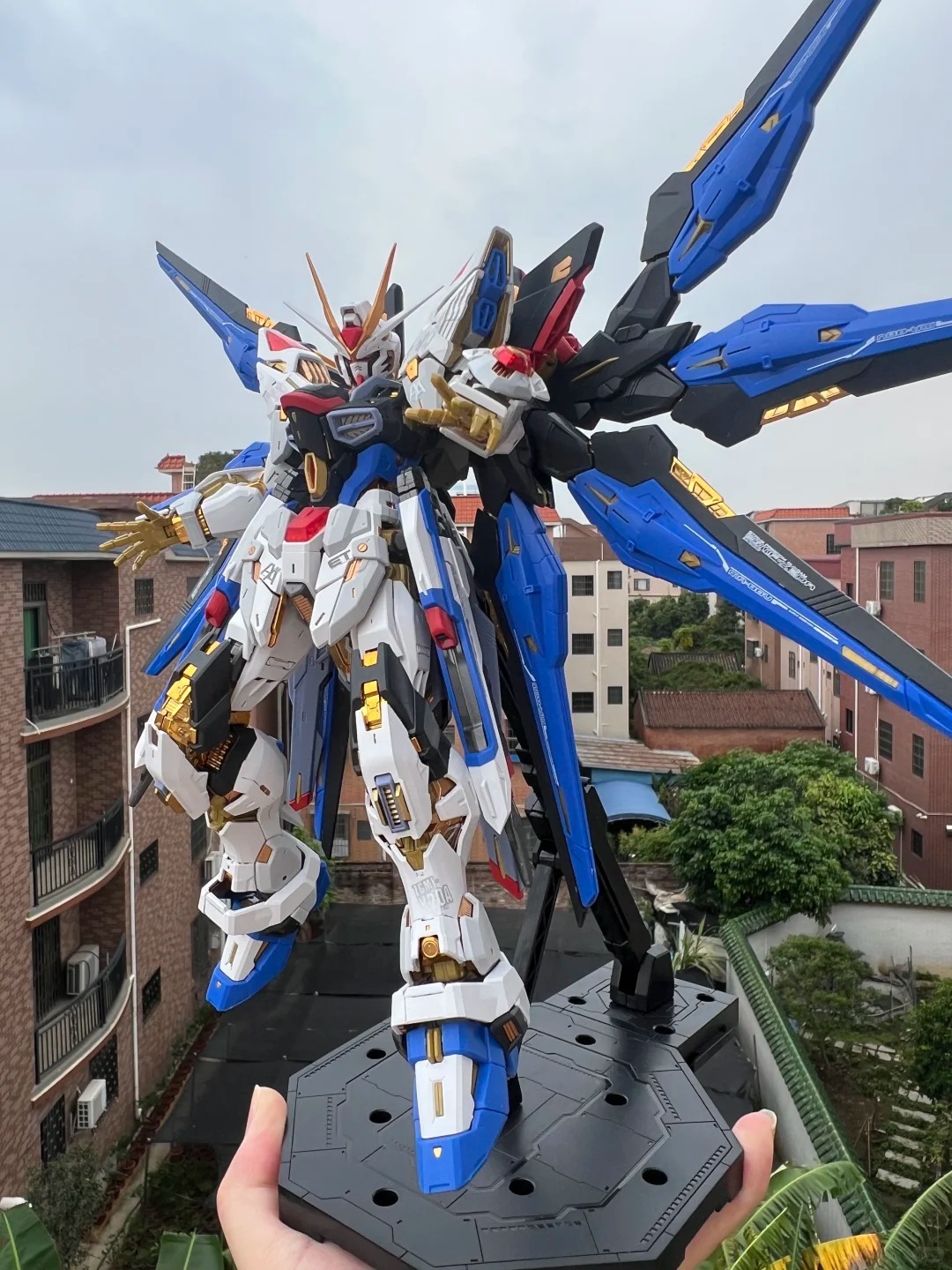 Changlong 7701 ZGMF/A-262PD-P  - Model Kit Zeus review and price